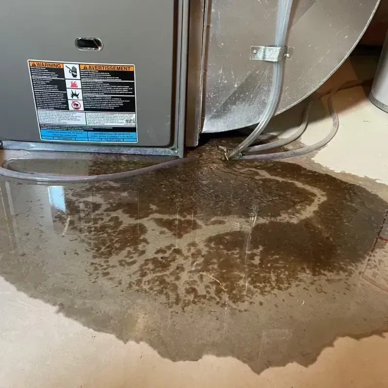 Appliance Leak Cleanup in Bowling Green, MO